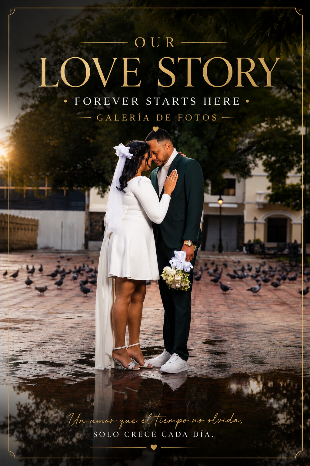 BODA | OUR LOVE STORY | Galería de Fotos
